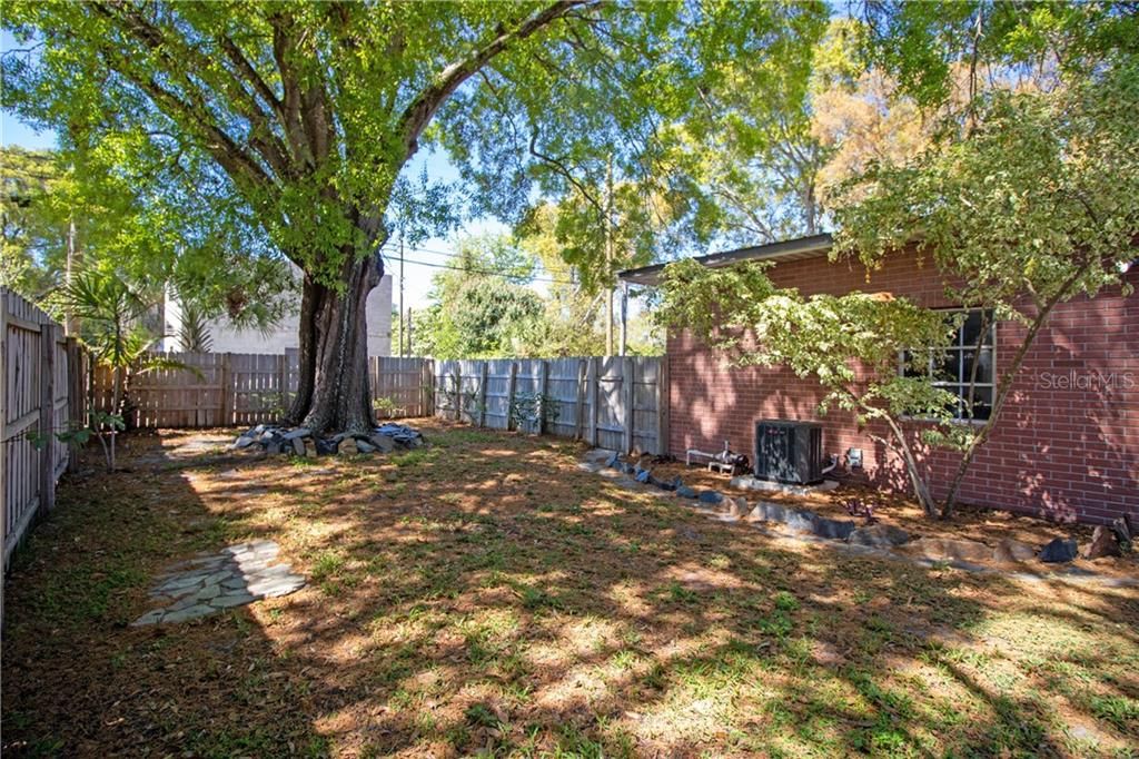 Very spacious yard, with a lovely shade tree.