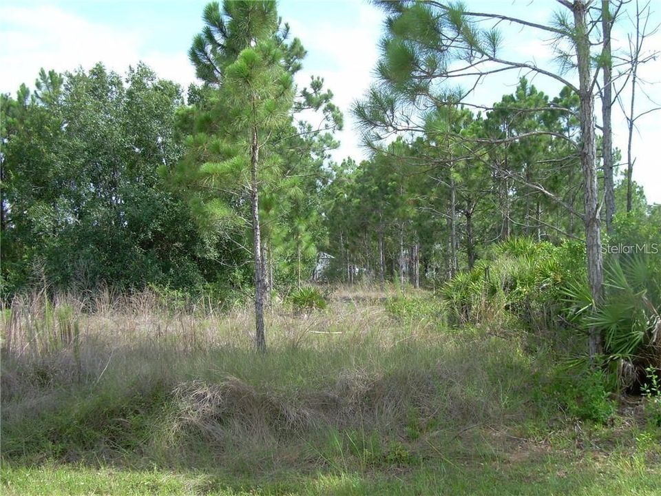 Recently Sold: $11,500 (0.28 acres)