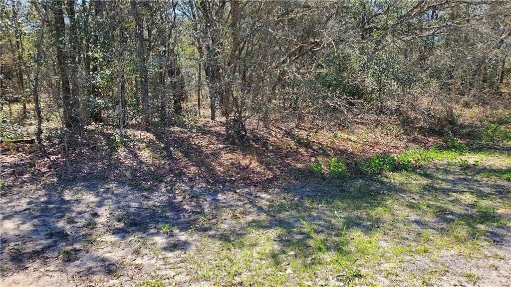 Recently Sold: $6,250 (0.23 acres)