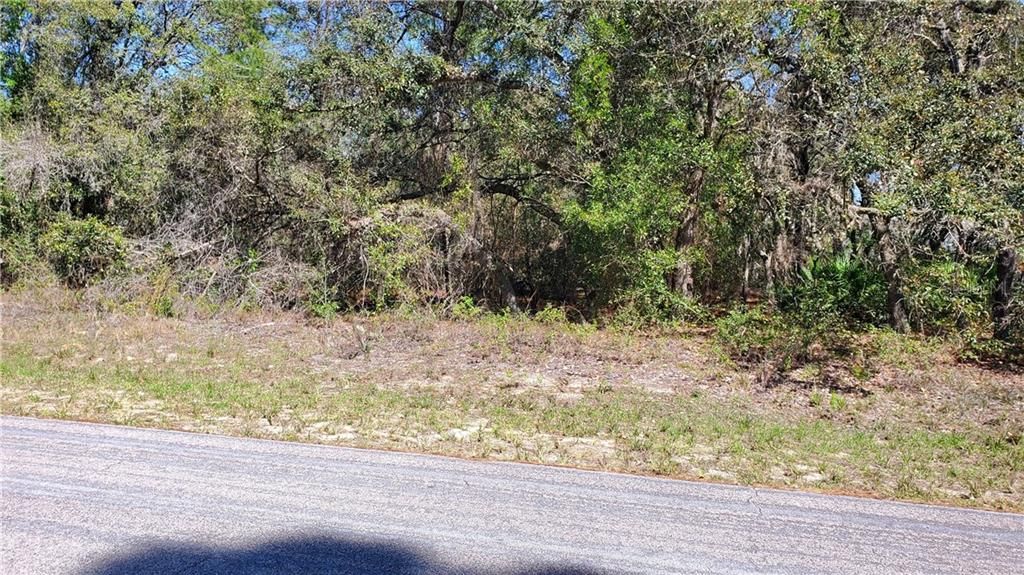 Recently Sold: $13,000 (0.46 acres)