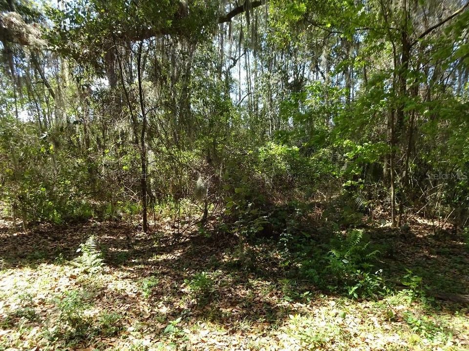 Recently Sold: $32,900 (6.11 acres)