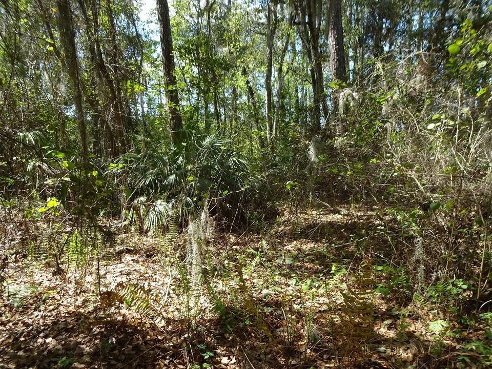Recently Sold: $32,900 (6.11 acres)