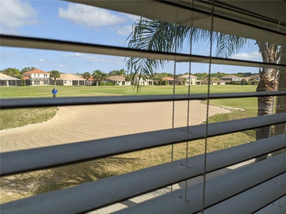 View from Master Bedroom