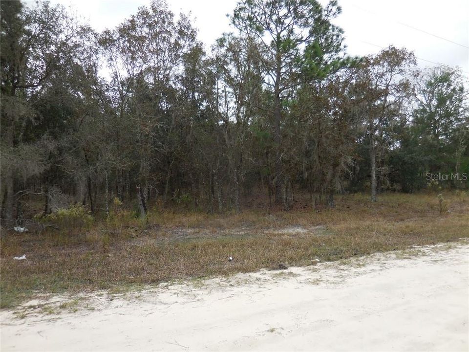 Recently Sold: $19,500 (1.25 acres)