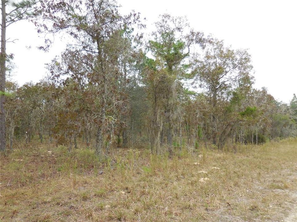 Recently Sold: $19,500 (1.25 acres)