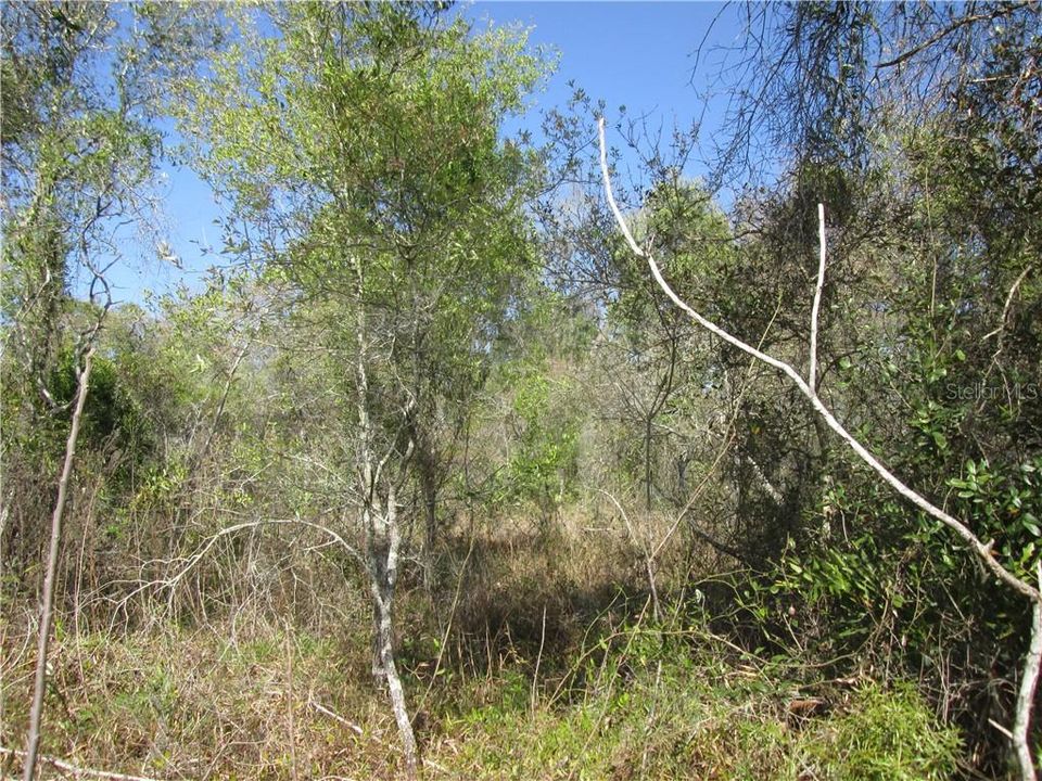 Recently Sold: $19,500 (0.79 acres)