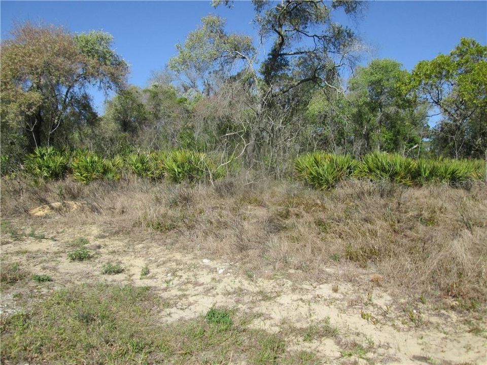 Recently Sold: $19,500 (0.79 acres)