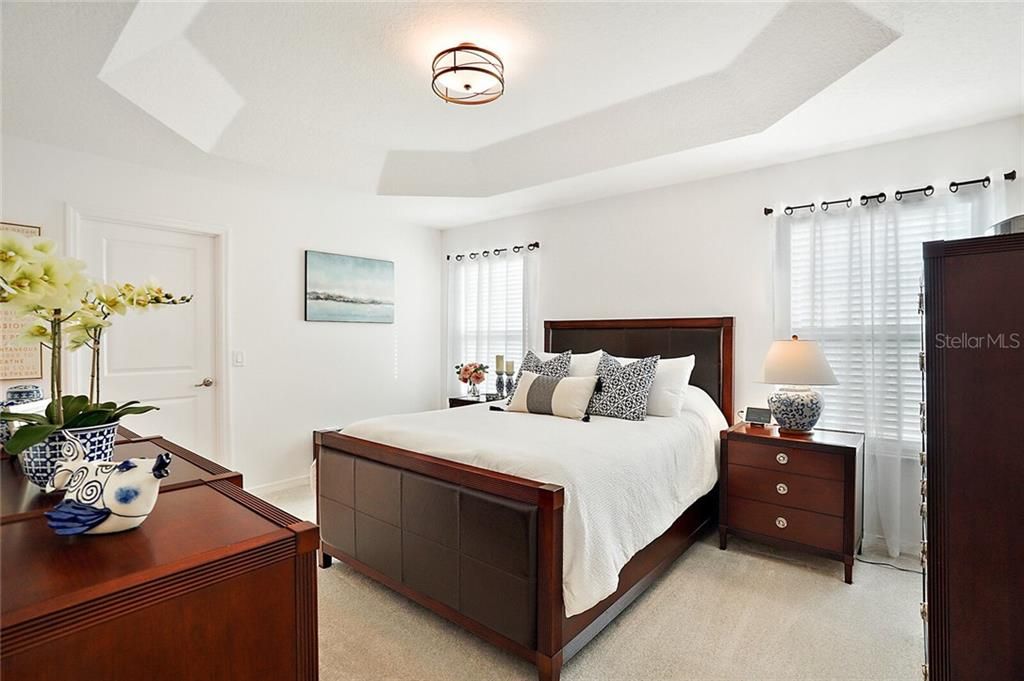 Master bedroom with tray ceiling and walk in closet