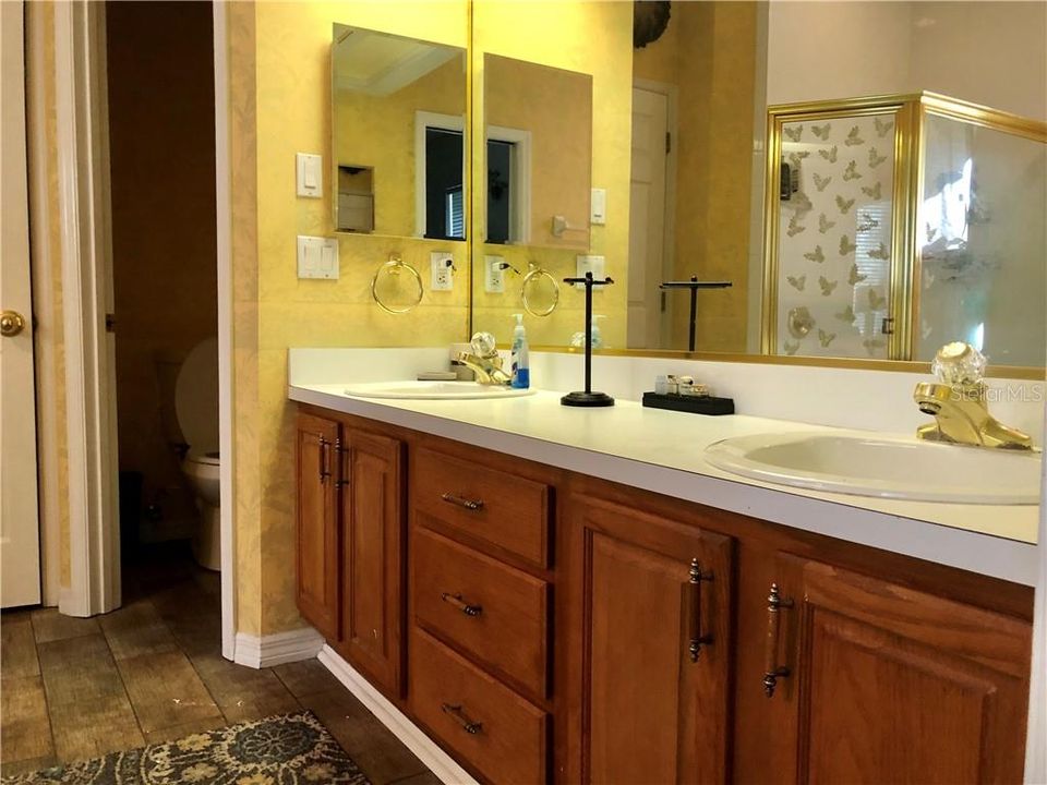 Master suite with double sink vanity, jetted garden tub and step-in shower