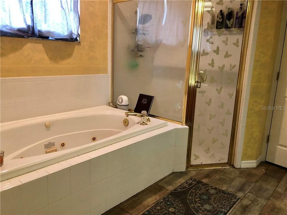 Master bathroom w/ jetted garden tub, step-in shower and double sink vanity