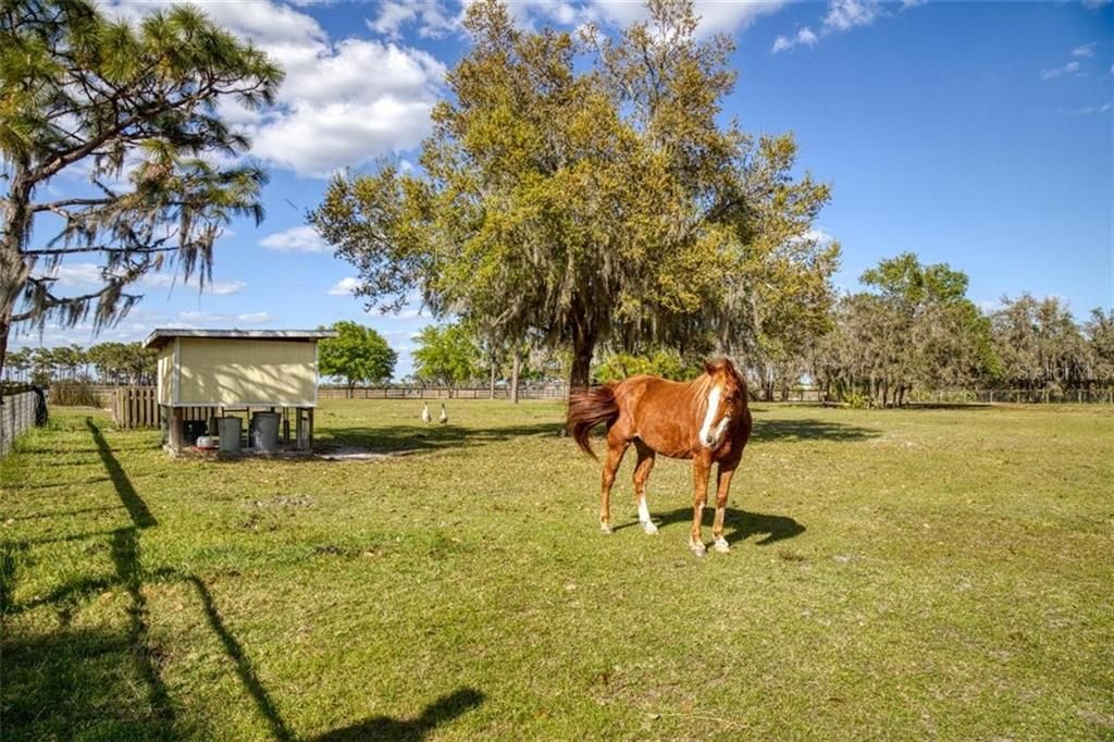 Vendido Recientemente: $599,900 (3 camas, 2 baños, 2279 Pies cuadrados)