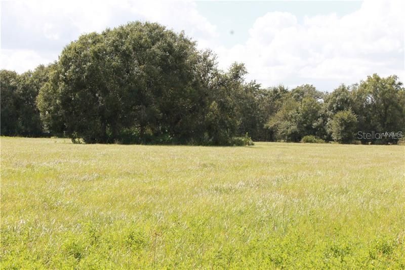 Recently Sold: $105,000 (10.00 acres)