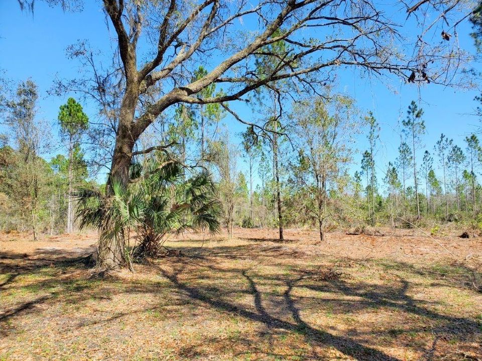 Recently Sold: $84,900 (10.60 acres)