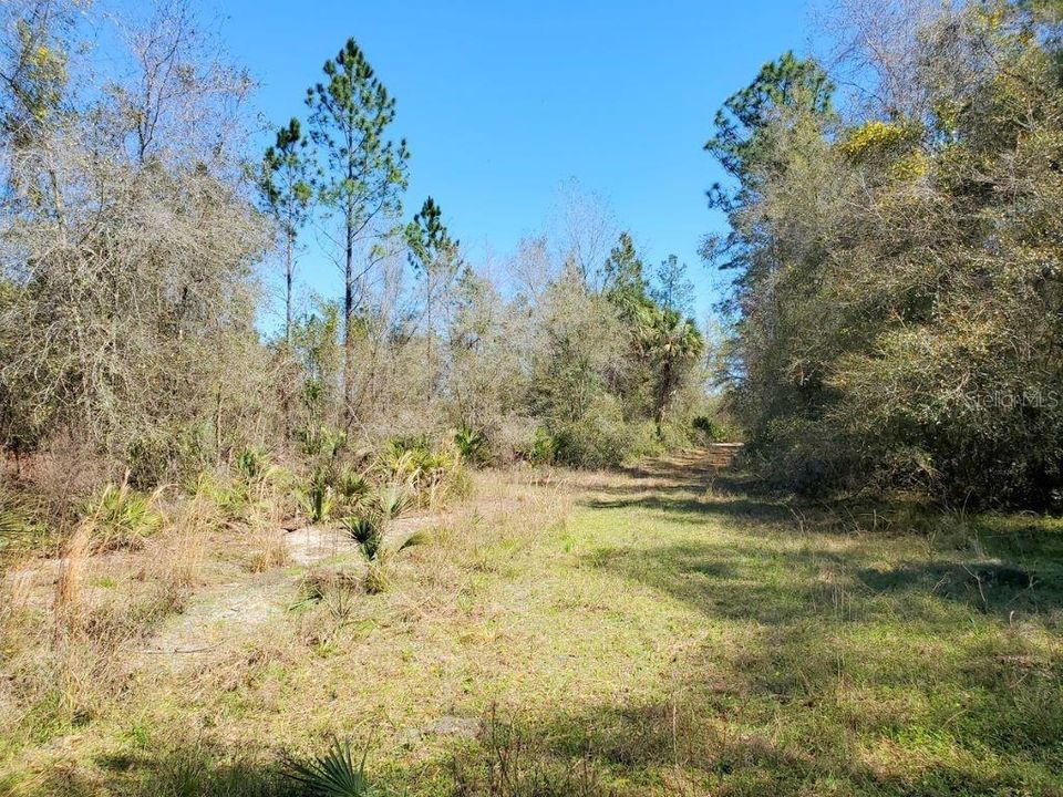 Recently Sold: $84,900 (10.60 acres)