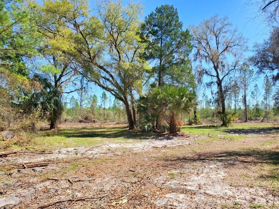 Recently Sold: $84,900 (10.60 acres)