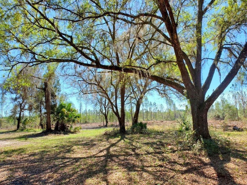 Recently Sold: $84,900 (10.60 acres)