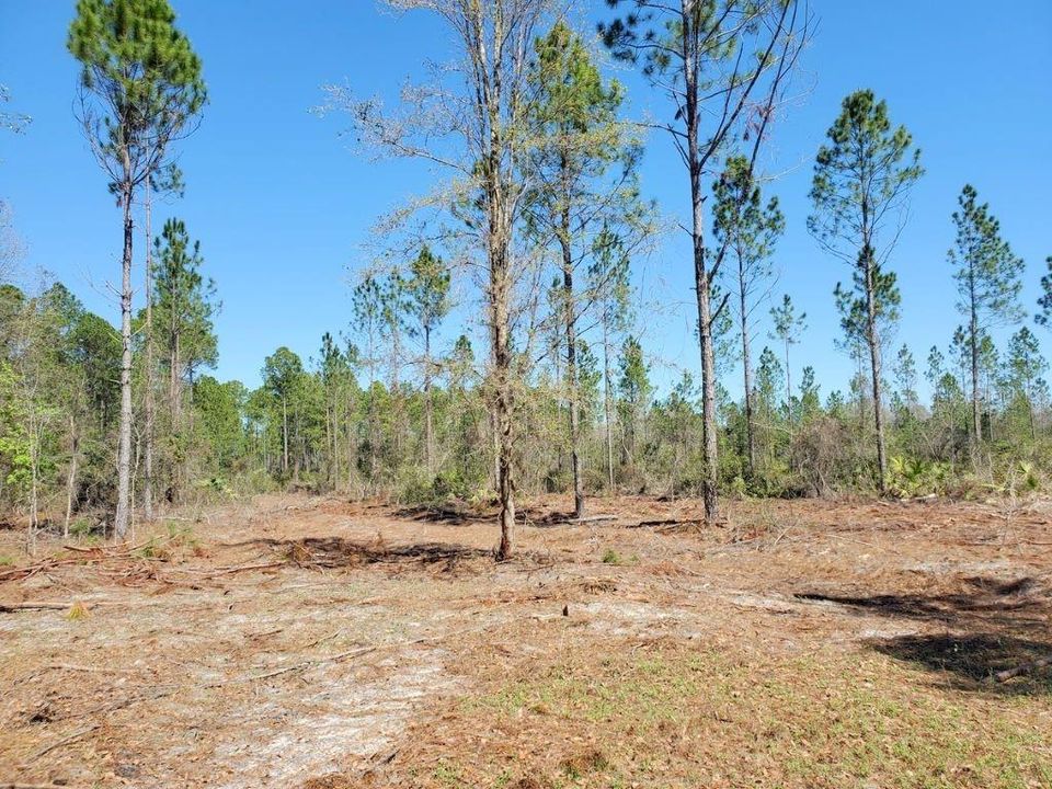 Vendido Recientemente: $84,900 (10.60 acres)