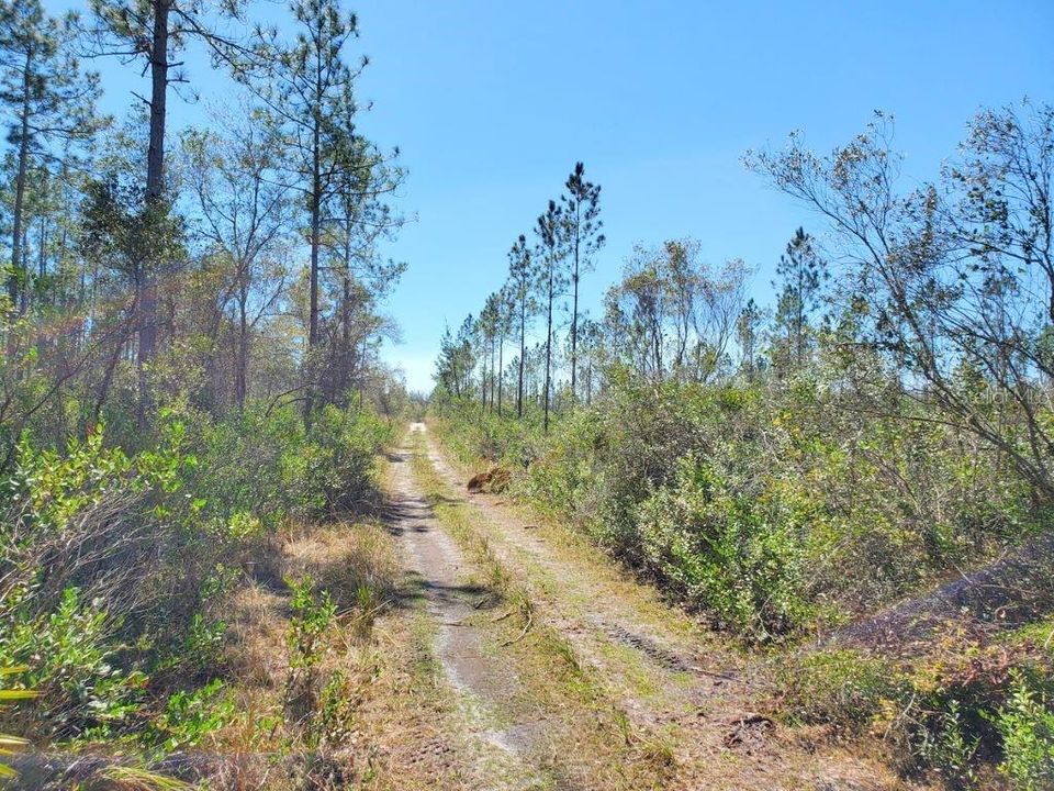 Recently Sold: $84,900 (10.60 acres)