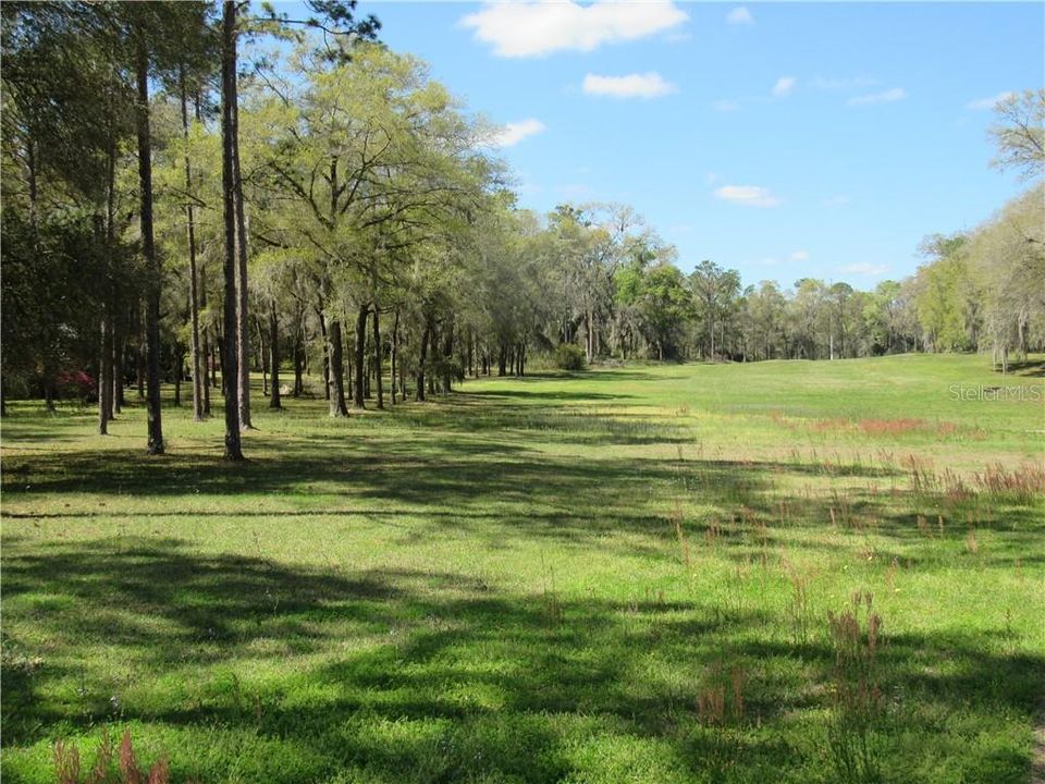 This Property (Block A, Lot 016) Backs Up To This Stunning Preserve.