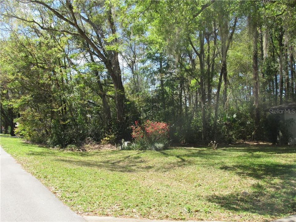 Another View Of this Beautiful Wooded Lot Located In Country Club Estates. Perfect For Your Future New Constructed Dream Dream Home -Or- Purchase For Investment. Rainbow Springs Is The Natural Place To Call Home!!