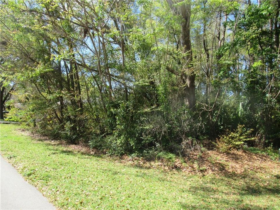 This Lovely Property is Located On Paved Road In Country Club Estates of The Village Of Rainbow Springs. Hurry, Won't Last!