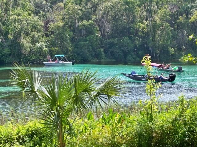 As A Property Owner At The Village Of Rainbow Springs, the Resident's Private Park and Beach Provides Access To the Famous Rainbow River Where You Can Swim, Picnic, Bird Watch and Launch Your Kayaks!!