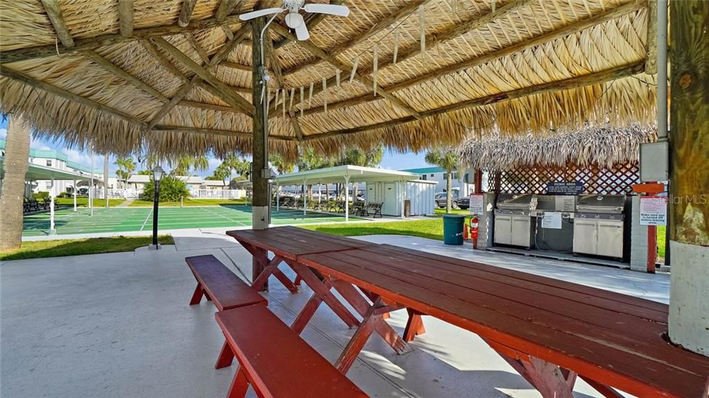 Community gas grills and picnic area.