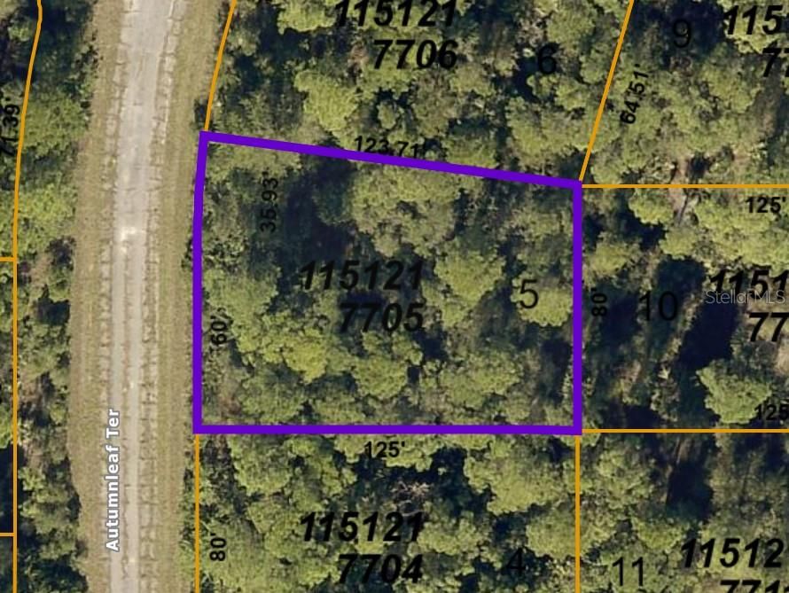 Recently Sold: $5,750 (0.25 acres)