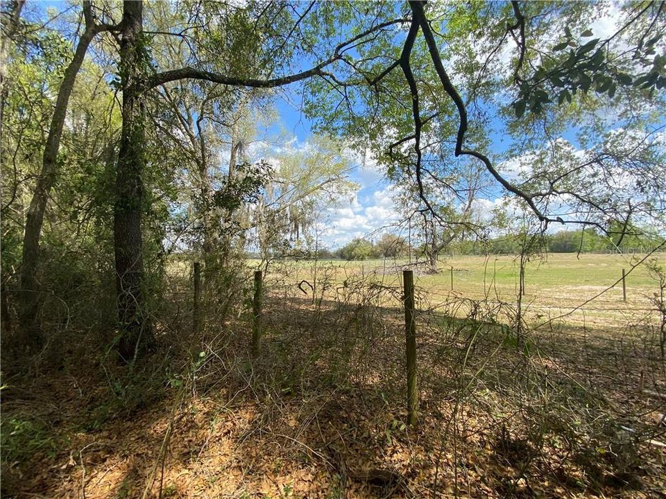 Recently Sold: $8,000 (0.41 acres)