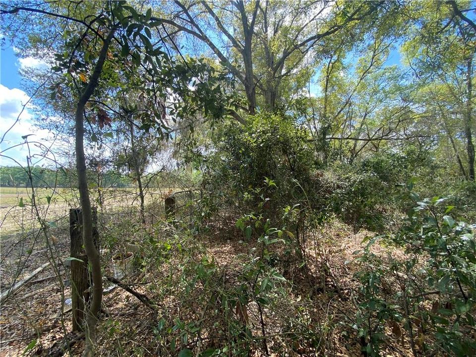 Recently Sold: $8,000 (0.41 acres)