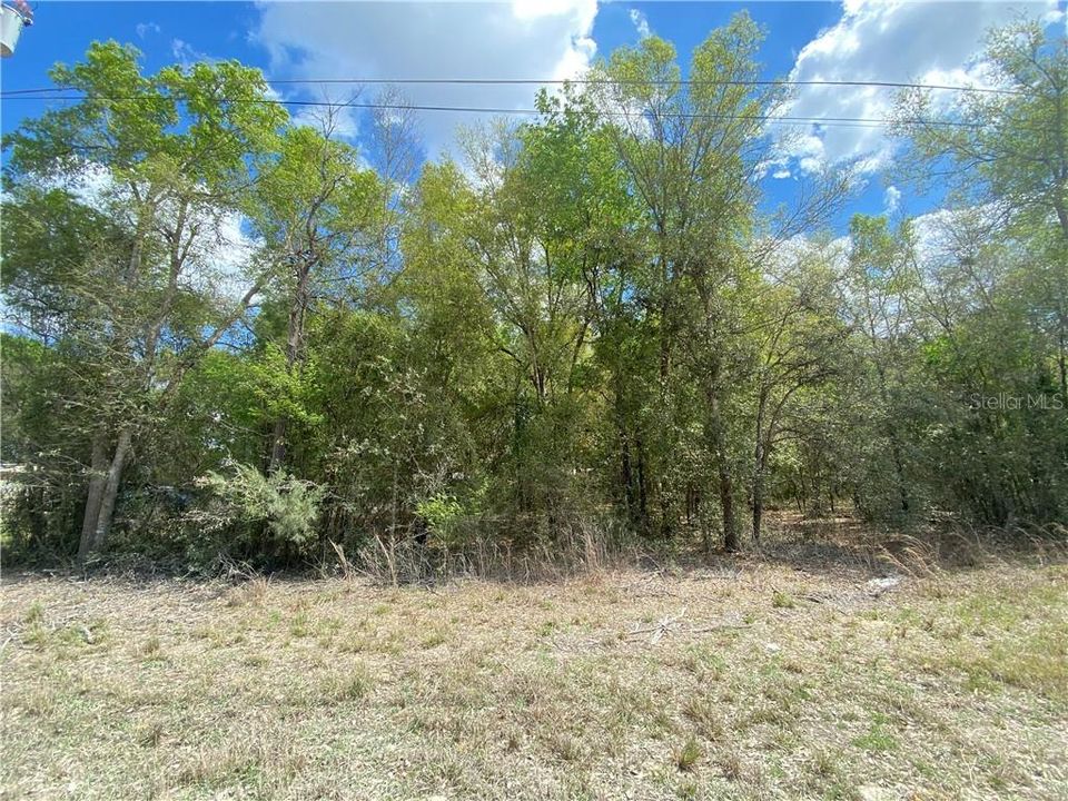 Recently Sold: $4,500 (0.32 acres)
