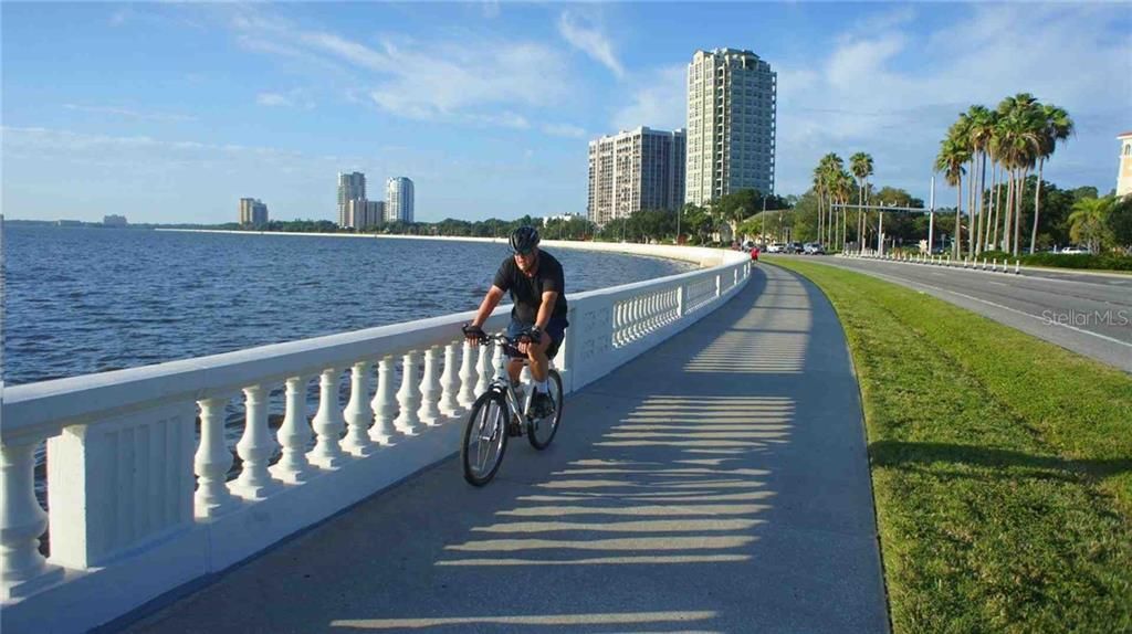 Bayshore Dr in South Tampa