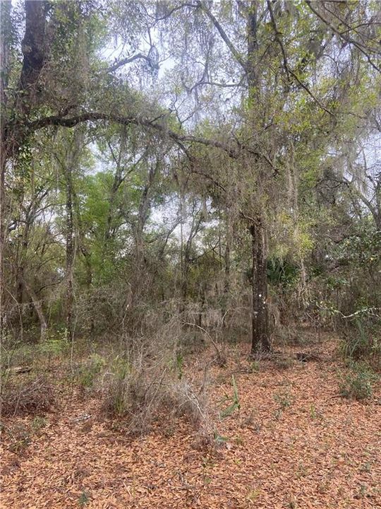 Recently Sold: $65,000 (1.81 acres)