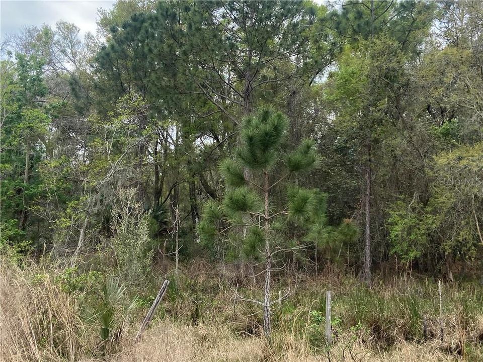 Recently Sold: $65,000 (1.81 acres)