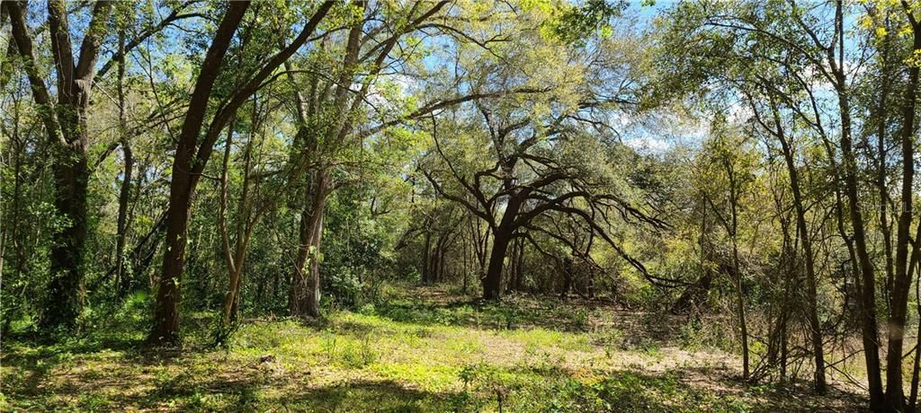 Recently Sold: $20,000 (0.86 acres)