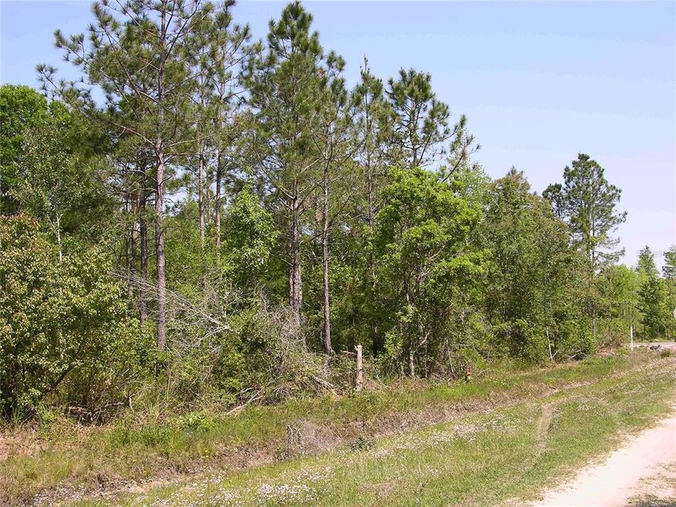 Recently Sold: $19,500 (1.14 acres)