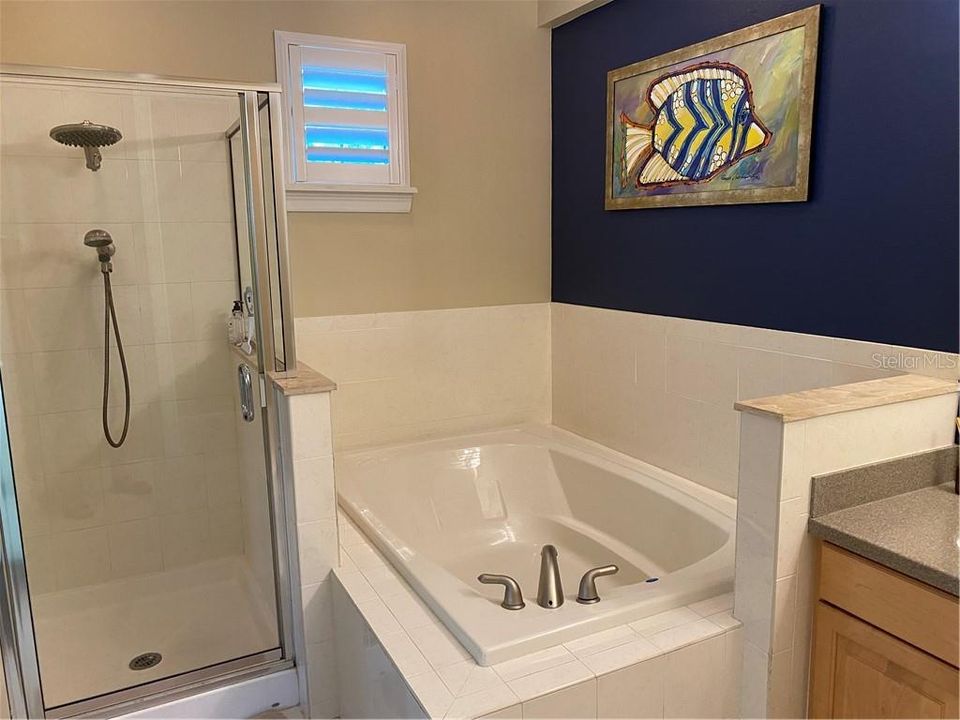 Separate shower and garden tub in the Master bath.