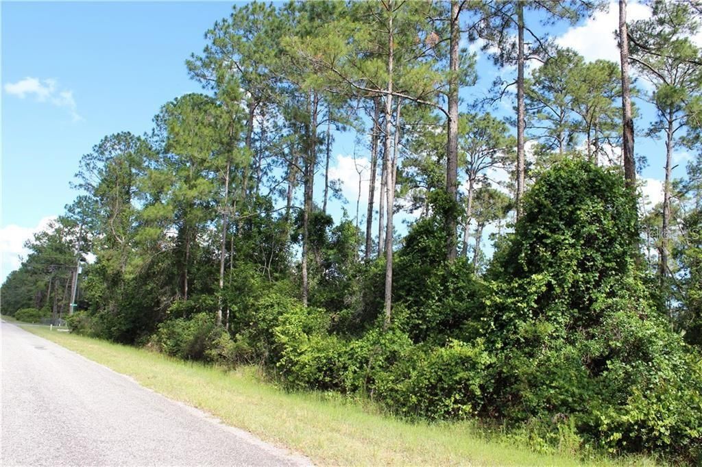 Recently Sold: $17,500 (1.00 acres)