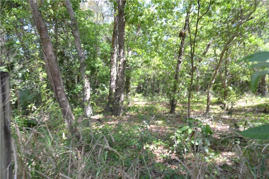 Recently Sold: $225,000 (0.76 acres)