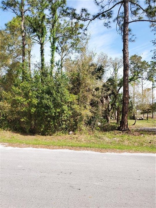 Recently Sold: $11,000 (0.60 acres)