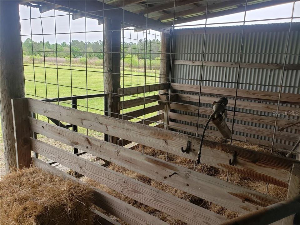 Two Horse Stalls ready to go for your horses, goats or other animals you may have!