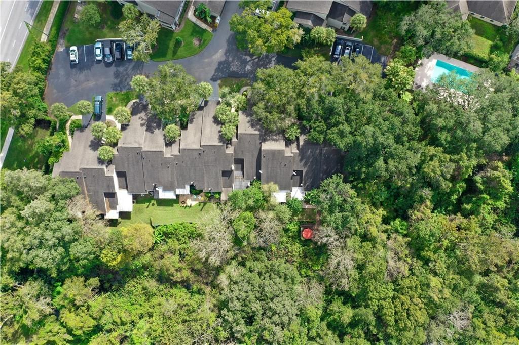 AERIAL VIEW OF CONSERVATION AND TOWNHOME UNITS