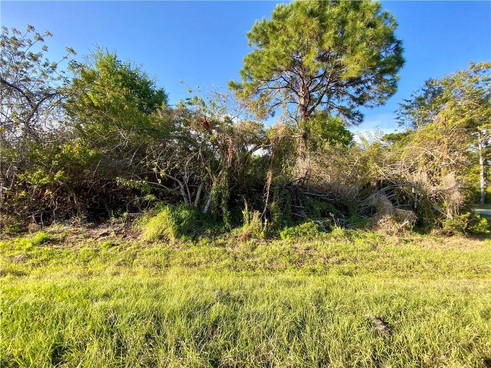 Недавно продано: $13,900 (0.26 acres)
