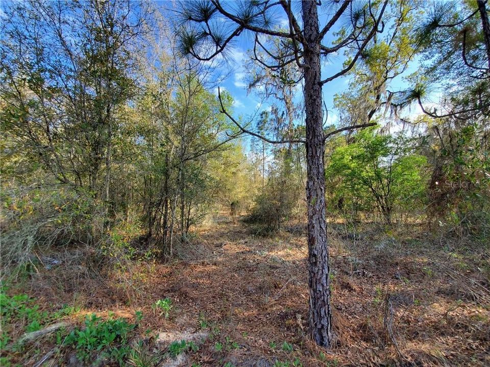 Recently Sold: $9,500 (1.25 acres)
