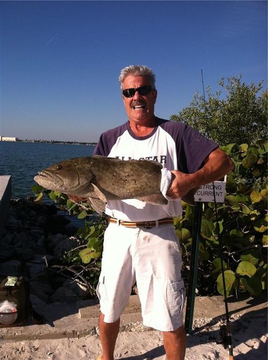 Large Grouper caught off of seawall by beach area
