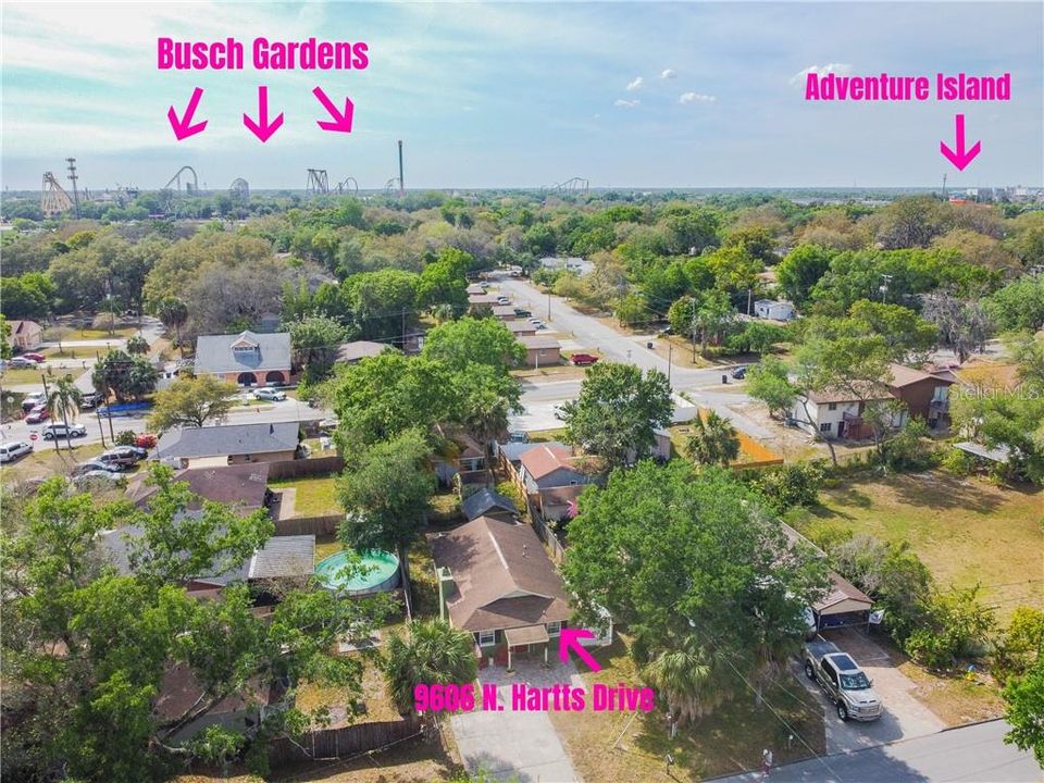 9606 N. Hartts Drive, Tampa, FL 33617  - Close to Busch Gardens Tampa Bay and Adventure Island water park