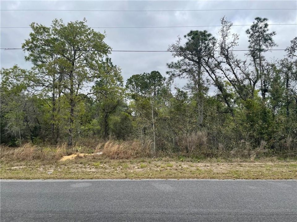 Recently Sold: $16,900 (0.33 acres)