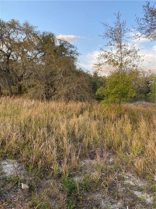 Recently Sold: $12,500 (0.11 acres)