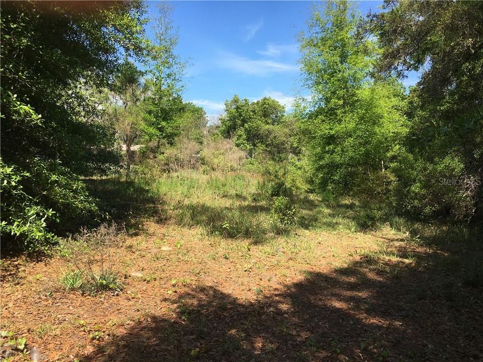 Recently Sold: $35,000 (0.26 acres)