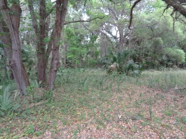 Recently Sold: $26,000 (1.00 acres)